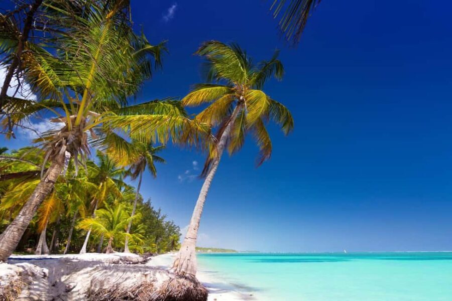Saona Island: Catamaran/Speedboat Tour to a Dream Beach - Transport time and the real length of your day (7 to 10 hours)