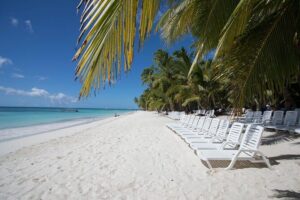 Saona Island Day Trip From Punta Cana with Lunch and Open Bar - 3 Hours on Isla Saona: Beach Time, Swimming, and the Buffet Lunch