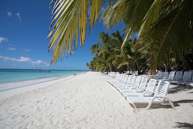 Saona Island Day Trip From Punta Cana with Lunch and Open Bar - 3 Hours on Isla Saona: Beach Time, Swimming, and the Buffet Lunch