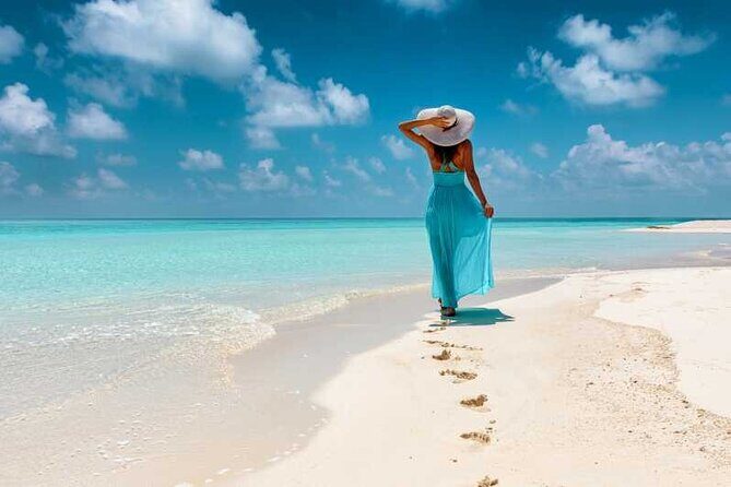 Saona Island Exclusive Beach All Inclusive from Punta Cana - Key things that make this Saona day work