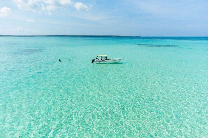 Saona Island Excursion from Bayahibe - Key Highlights You’ll Feel the Moment You Arrive