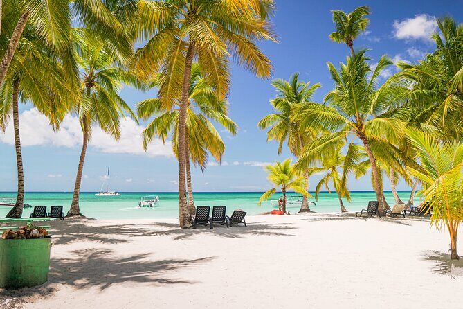 Saona Island Excursion from Bayahibe - Value for $69: When This Excursion Makes Sense