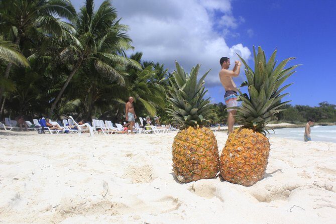 Saona Island Excursion From Punta Cana - Saona Island Time: What You Do With Those Three Hours
