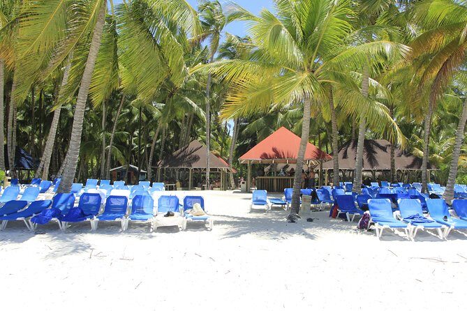 Saona Island Excursion From Punta Cana - The Included Lunch and Open Bar: Solid Value, Not a Fine-Dining Fantasy