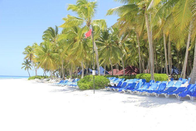 Saona Island Excursion From Punta Cana - Guides and Drivers: When the Human Touch Makes the Day