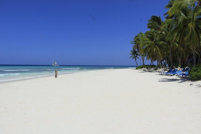 Saona Island Excursion From Punta Cana - Money and Upgrades: Where Value Can Hold Up and Where It Can Slip