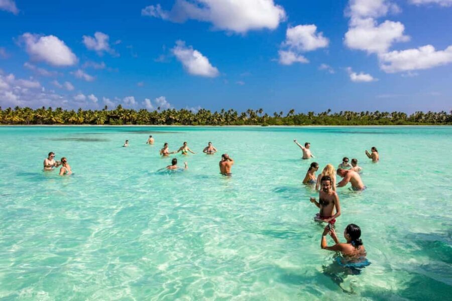Saona Island from Punta Cana Day Trip with Open Bar - The Coast Cruise and What to Watch For