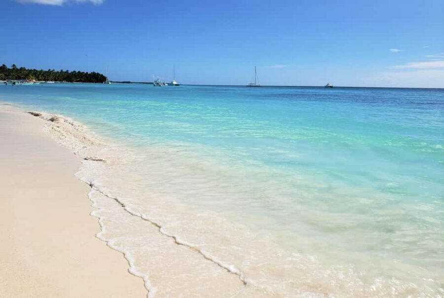 Saona Island from Punta Cana Day Trip with Open Bar - The Day Schedule: Long, But Built for “Beach Moments”