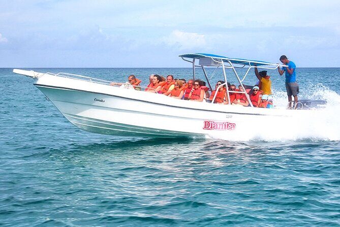 Saona Island Full Day Excursion from Punta Cana + Catamaran Party - Natural pool swim and starfish: what to do with your time