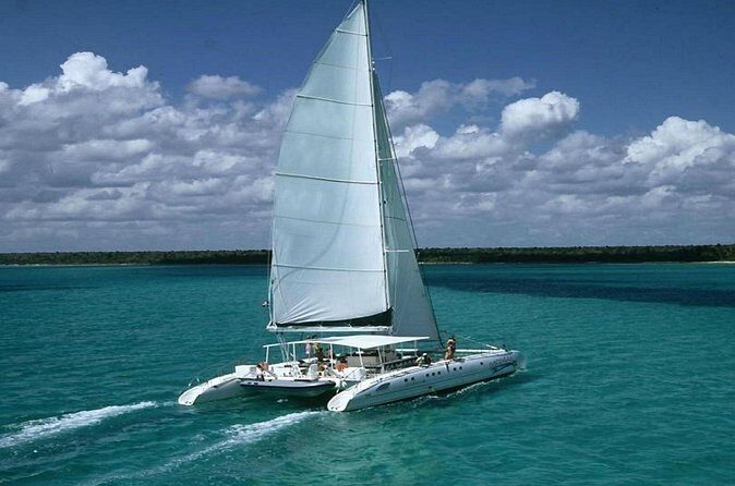 Saona Island Full Day Tour Lunch and Transportation Included - Timing and Crowd Reality: How to Have Fun Instead of Rushing