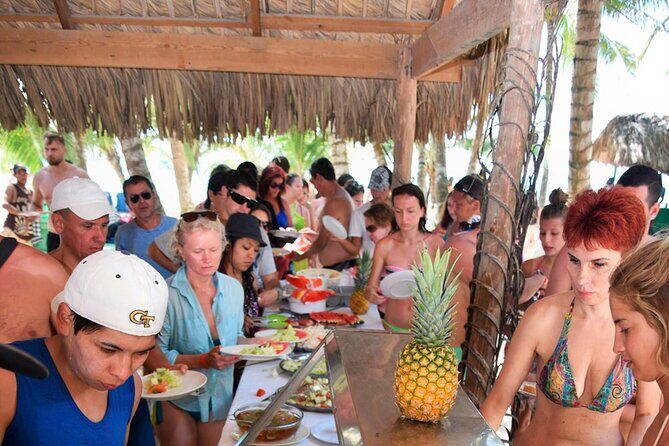 Saona Island Full Day Tour Lunch and Transportation Included - Should You Book This Saona Full Day Tour?