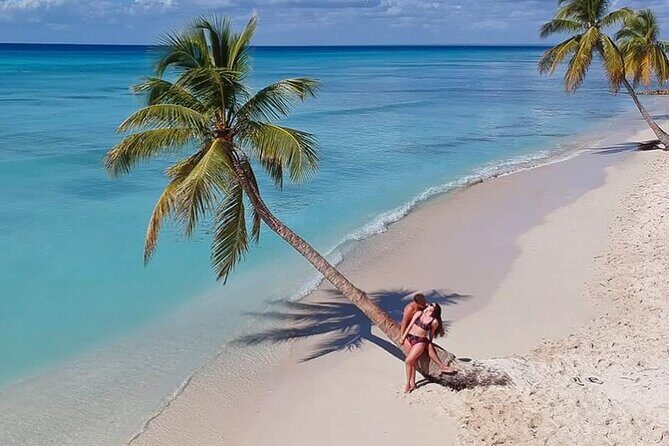 Saona Island Full Day Tour Lunch and Transportation Included - Isla Saona’s Virgin Beach Time: Lunch, Views, and Real Island Energy