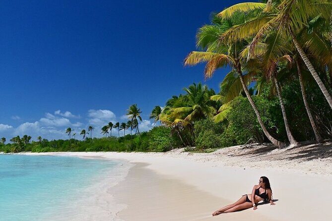 Saona Island, memorable all-inclusive experience, from Santo Domingo. - Key things I’d circle before you go