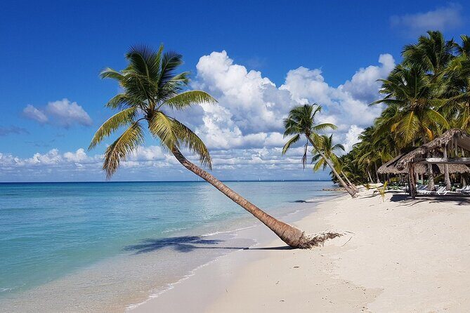 Saona Island, memorable all-inclusive experience, from Santo Domingo. - Getting there: A/C ride to Bayahibe, then speedboats or catamarans
