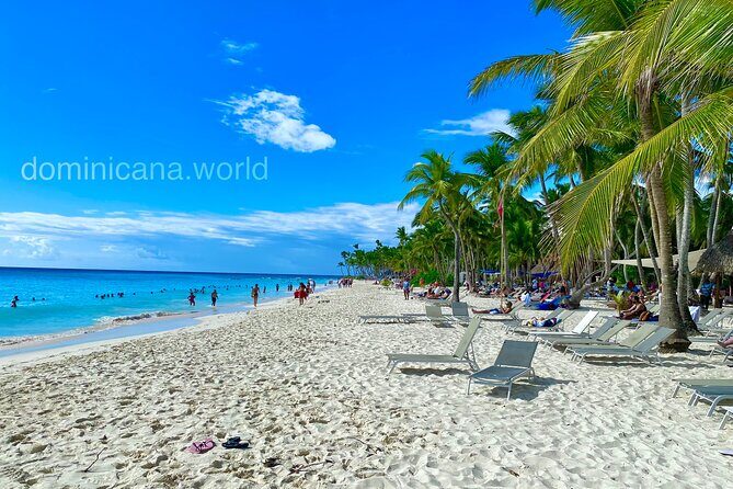 Saona Island, Natural pool Starfish, Fast boat, Catamaran +Dances - Getting there from Punta Cana: Bayahibe transfer times
