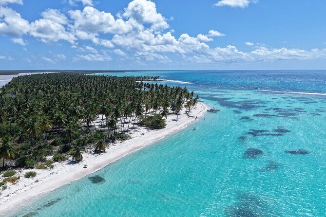 Saona Island Premium Discovery Tour from Punta Cana or Bayahíbe - Key Highlights You’ll Care About