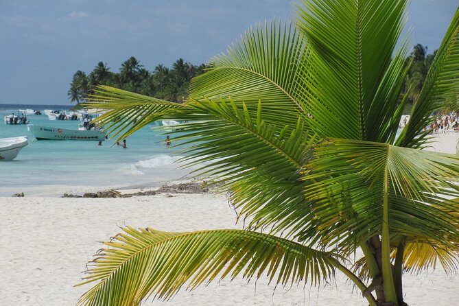 Saona Island small group and relax - luxury catamaran - How This Saona Day Gets You More Than One Island