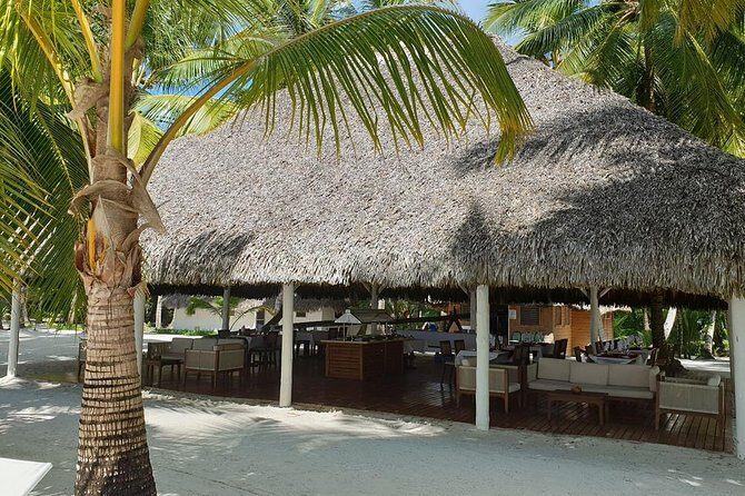 Saona Island small group and relax - luxury catamaran - Reef Snorkeling at Catuano (30 Minutes): Go in Ready