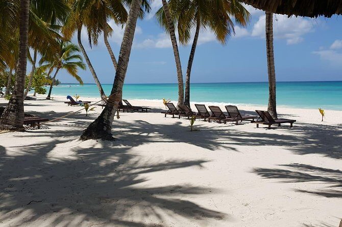 Saona Island small group and relax - luxury catamaran - Price and Value: Is $139 Worth It?