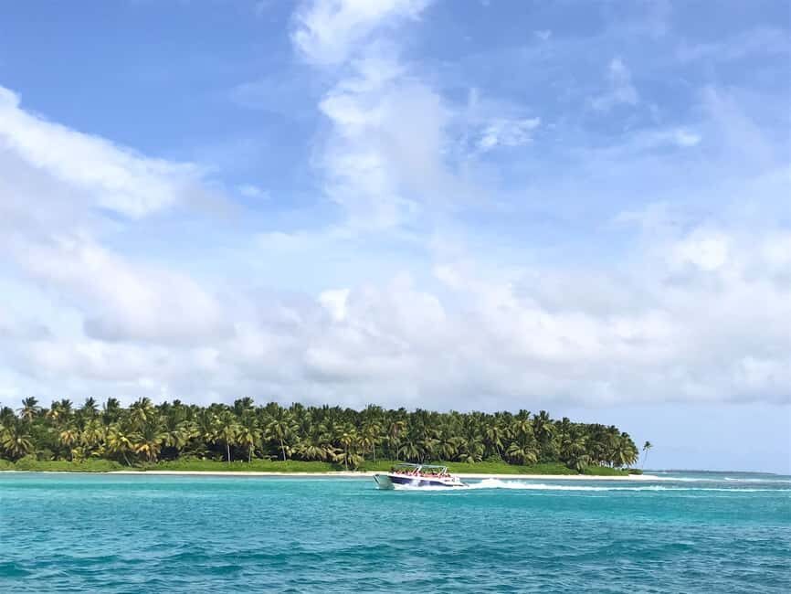 Saona Island Tour All Inclusive Speedboat and Catamaran - Arts and crafts + drinks at the Local Market: a quick culture check