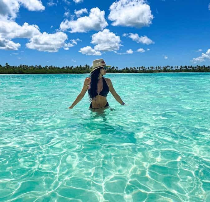 Saona Island Tour All Inclusive Speedboat and Catamaran - Who this tour suits (and who should skip it)
