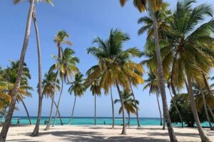 Saona Island Tour from Punta Cana All Inclusive - Natural Pool: Starfish Watching Without the Fancy Gear