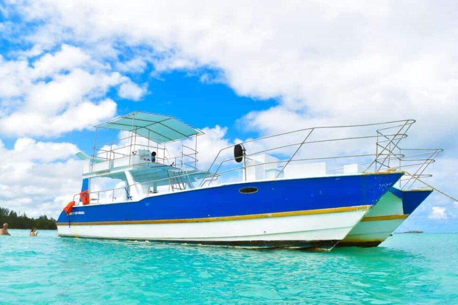 Saona Island Tour From Santo Domingo with Lunch and Pickup - The catamaran return: party energy on the way back