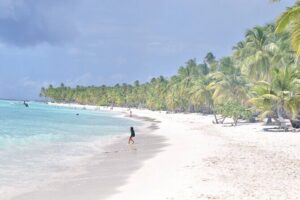 Saona Island Tour in Punta Cana - Saona Island Beach Time and the Dominican Buffet