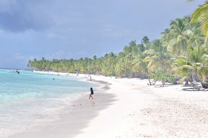 Saona Island Tour in Punta Cana - Saona Island Beach Time and the Dominican Buffet