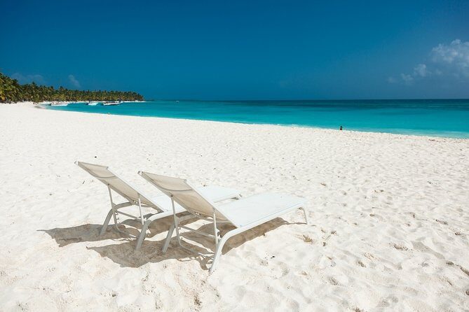 Saona Private Full-Day Tour from Punta Cana - Key things that make this Saona private tour worth the money