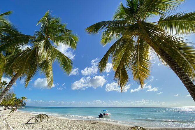 Saona Private Full-Day Tour from Punta Cana - Lunch and the open bar: what’s included and how it affects your day