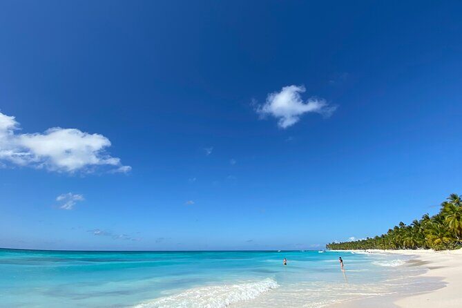 Saona Private Full-Day Tour from Punta Cana - Price and value: is $660 per person a smart splurge?