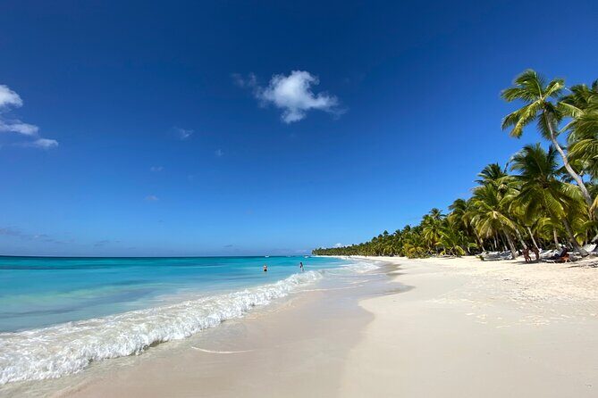 Saona Private Full-Day Tour from Punta Cana - Timing and the realistic flow of a 10-hour day