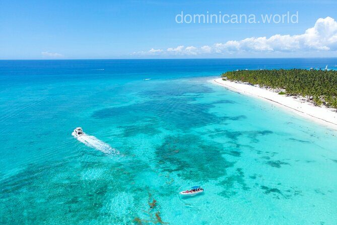 Saona Private Tour with Own Guide and Transport from Punta Cana - Playa Viva snorkeling: fish viewing plus feeding