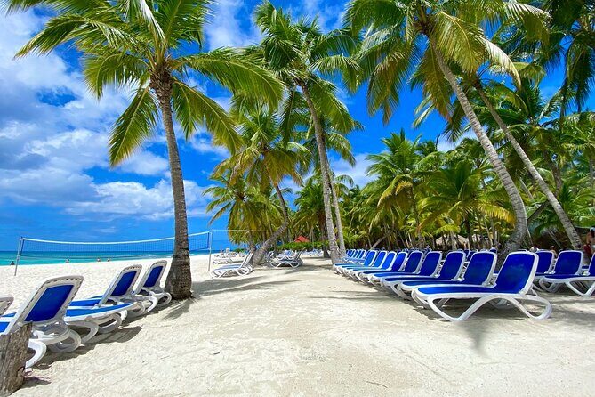 Saona Private Tour with Own Guide and Transport from Punta Cana - Piscina Natural Saona (starfish lagoon) and the floating bar
