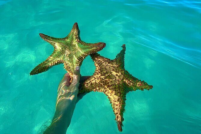 Saona Private Tour with Own Guide and Transport from Punta Cana - Lunch and drinks: what the day includes