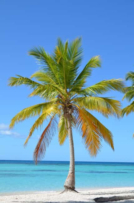 Saona Special Tour: Four Beaches & Canto Experience - Pace, comfort, and who should skip it