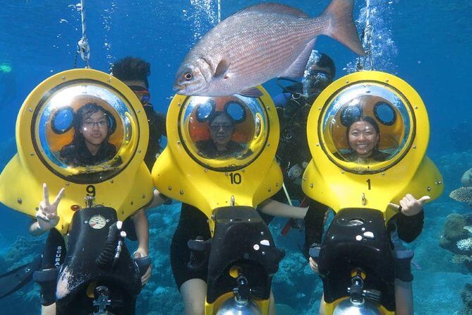 Scuba Doo Diving Experience in Punta Cana - Key takeaways before you go