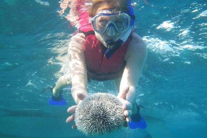 Scuba Doo Underwater Scooter in Punta Cana (Half Day) - Why this Punta Cana underwater scooter tour feels different from scuba