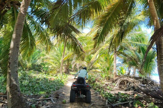 Small Group Exclusive 4x4 ATV Punta Cana: Jungle & Wild Beaches! - Playa La Vacama: the wild-beach swim you didn’t know Punta Cana had