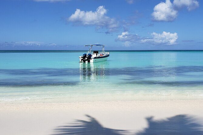 Small Group: Saona Island Full Day Tour - Key highlights worth your attention