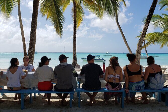 Small Group: Saona Island Full Day Tour - Getting there from Punta Cana: pickup, meeting points, and the speedboat reality