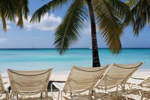 Small Group: Saona Island Full Day Tour - Mano Juan breakfast and turtles with local leader Negro