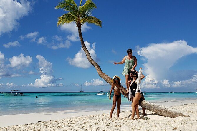 Small Group: Saona Island Full Day Tour - Abanico Beach on Saona: lunch, open bar, and the calm before the crowd