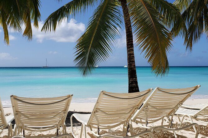 Small Group: Saona Island Full Day Tour - Mano Juan breakfast and turtles with local leader Negro
