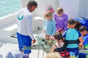 Snorkel Lovers for All Ages & Premium Seafood Lunch in Punta Cana - Pickup to onboard: the practical stuff that makes the day easier
