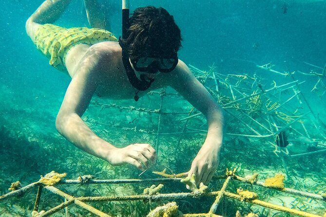 Snorkel Lovers for All Ages & Premium Seafood Lunch in Punta Cana - Stop 1: the Natural Pool snorkeling where beginners can breathe easy