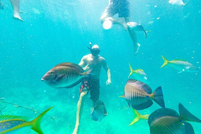 Snorkel Lovers for All Ages & Premium Seafood Lunch in Punta Cana - Back at the Natural Pool: lunch on the floating kitchen, slide time, and serious snacks