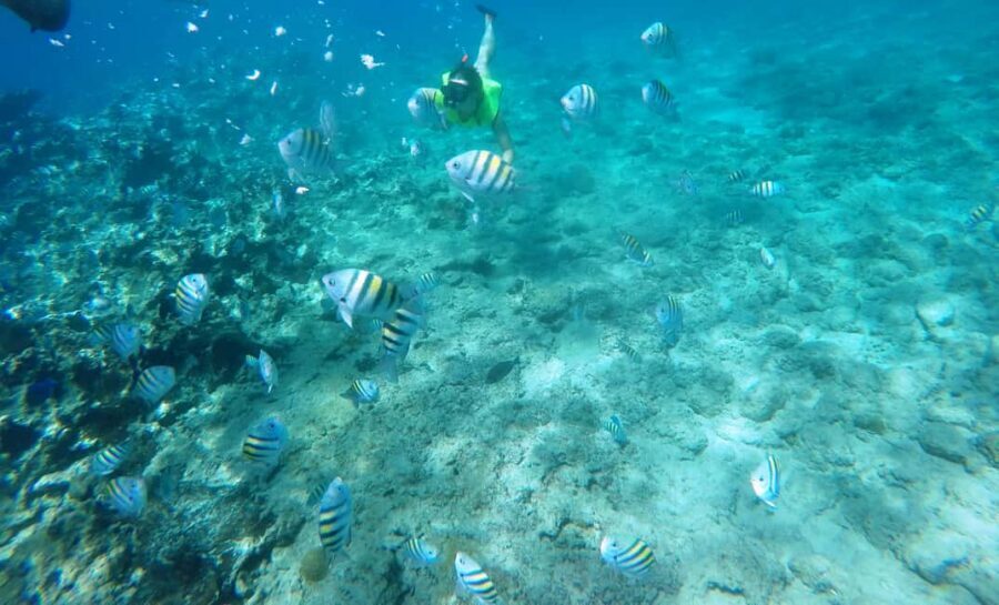 Snorkeling Tour & Sosua Beach Day - Key things I’d plan around