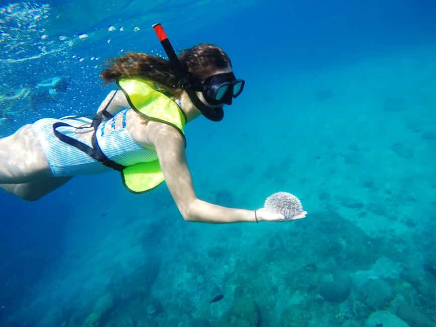 Snorkeling Tour & Sosua Beach Day - Sosua Bay sets the tone: warm water, easy arrival, clear plan